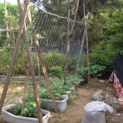 Polyester Pergola For Climbing Plants,5*15Ft Reusable DIY Net For Planting, Garden Supplies, Plant Support Structures