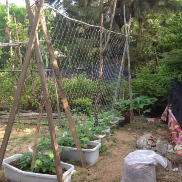 Polyester Pergola For Climbing Plants,5*15Ft Reusable DIY Net For Planting, Garden Supplies, Plant Support Structures