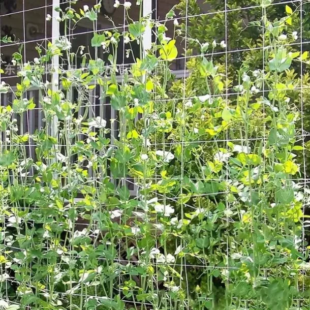 Polyester Pergola For Climbing Plants,5*15Ft Reusable DIY Net For Planting, Garden Supplies, Plant Support Structures