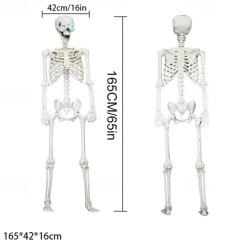Poseable HALLOWEEN Life Size Decay Skeleton Human Prop Anatomy Quick Ship