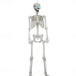 Poseable HALLOWEEN Life Size Decay Skeleton Human Prop Anatomy Quick Ship