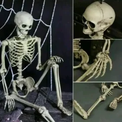 Poseable HALLOWEEN Life Size Decay Skeleton Human Prop Anatomy Quick Ship