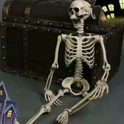 Poseable HALLOWEEN Life Size Decay Skeleton Human Prop Anatomy Quick Ship