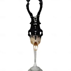 Real Roe Deer Skull Candelabra Dark Interiors Gothic Design Wedding Centrepiece Alternative Home
