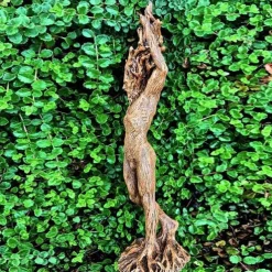 Resin Dryade Statue Figures, Dryade Ornament, Goddess Statue, God or Goddess of the Tree Statue, Craft Statue Model Sculptures Home Decor Sculpture Gift, Garden Craft Garden Park Decoration