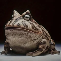 Resin Frog Statue - Versatile Indoor/Outdoor Decor for Garden, Window Sill & Desktop Display - Perfect for Halloween, Christmas, Thanksgiving