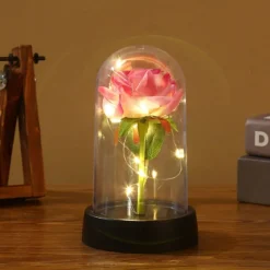 Rose Flower Gifts for Women,Mothers Day Flowers Gifts for Mom Wife from Daughter Son Husband,Birthday Gifts for Women Best Friend Her Girlfriend,Glass Rose Grandma Mom Gifts for Mothers Day