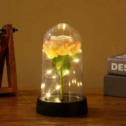 Rose Flower Gifts for Women,Mothers Day Flowers Gifts for Mom Wife from Daughter Son Husband,Birthday Gifts for Women Best Friend Her Girlfriend,Glass Rose Grandma Mom Gifts for Mothers Day