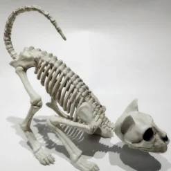 Scary Cat Skeleton Halloween Plastic Cat Skeleton Halloween Decoration Outdoor Halloween Decoration Beige