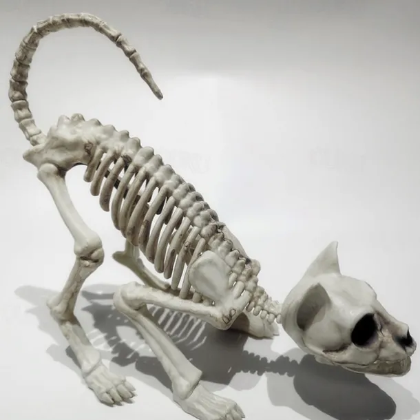 Scary Cat Skeleton Halloween Plastic Cat Skeleton Halloween Decoration Outdoor Halloween Decoration Beige