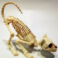 Scary Cat Skeleton Halloween Plastic Cat Skeleton Halloween Decoration Outdoor Halloween Decoration Beige