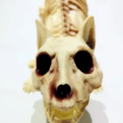 Scary Cat Skeleton Halloween Plastic Cat Skeleton Halloween Decoration Outdoor Halloween Decoration Beige