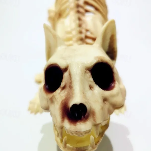 Scary Cat Skeleton Halloween Plastic Cat Skeleton Halloween Decoration Outdoor Halloween Decoration Beige