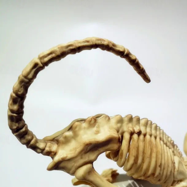 Scary Cat Skeleton Halloween Plastic Cat Skeleton Halloween Decoration Outdoor Halloween Decoration Beige