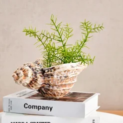 Seashell Shaped Resin Vase, 9.8-Inch Bohemian Tabletop Flower Vase, Indoor Decorative Hydroponic Planter for Home Decor and Gifts