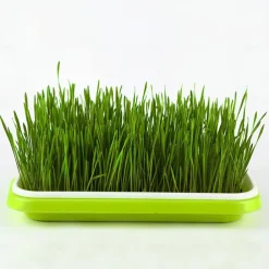 Seed Sprouter Tray, BPA Free PP Soil-Free Big Capacity Healthy Wheatgrass Grower Sprouting Container Kit For Garden Home Office