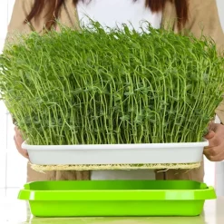 Seed Sprouter Tray, BPA Free PP Soil-Free Big Capacity Healthy Wheatgrass Grower Sprouting Container Kit For Garden Home Office
