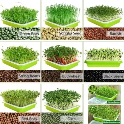 Seed Sprouter Tray, BPA Free PP Soil-Free Big Capacity Healthy Wheatgrass Grower Sprouting Container Kit For Garden Home Office