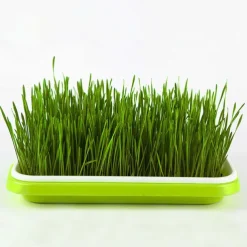 Seed Sprouter Tray, BPA Free PP Soil-Free Big Capacity Healthy Wheatgrass Grower Sprouting Container Kit For Garden Home Office