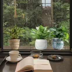 Self-Adhesive 3D Plant Wall Stickers - Waterproof, Dirt-Resistant, Easy Peel-and-Stick Decals for Living Room, Bedroom, Kitchen, and Office - Transform Your Home