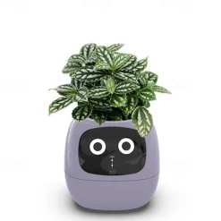 Smart Flowerpots,Smart Pet Planter,Ai Planter,Intelligent Flowerpots,Multiple Expressions,7 Smart Sensors, and Ai Chips Make Raising Plants Easy and Fun for Living Room,Plant-Free