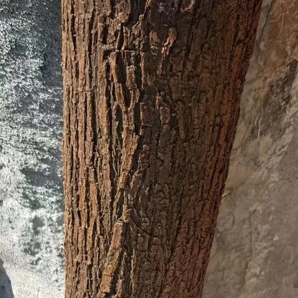 Soft Rubber Faux Tree Bark Roll Versatile, Cut-to-Size for DIY Home Decor, Wall & Column Covering - Available in Multiple Sizes