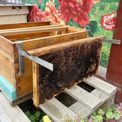 Stainless Steel Beehive Supports 2pcs Durable Stainless Steel Beehive Frame Supports - No Electricity or Batteries Required for Beekeeping