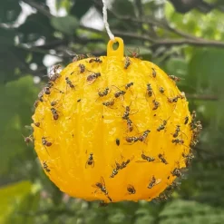 Sticky Traps Balls, Houseplant Sticky Bug Traps Capturing Fruit Flies, Mosquitoes Other Flying Insects, Cute Ball Design, Sticky Fruit Fly Traps For Indoor/Outdoor/Fields And Gardens