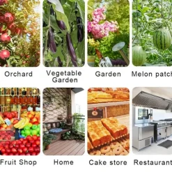 Sticky Traps Balls, Houseplant Sticky Bug Traps Capturing Fruit Flies, Mosquitoes Other Flying Insects, Cute Ball Design, Sticky Fruit Fly Traps For Indoor/Outdoor/Fields And Gardens