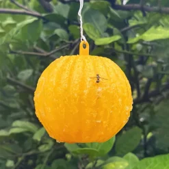 Sticky Traps Balls, Houseplant Sticky Bug Traps Capturing Fruit Flies, Mosquitoes Other Flying Insects, Cute Ball Design, Sticky Fruit Fly Traps For Indoor/Outdoor/Fields And Gardens