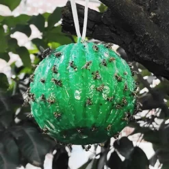Sticky Traps Balls, Houseplant Sticky Bug Traps Capturing Fruit Flies, Mosquitoes Other Flying Insects, Cute Ball Design, Sticky Fruit Fly Traps For Indoor/Outdoor/Fields And Gardens