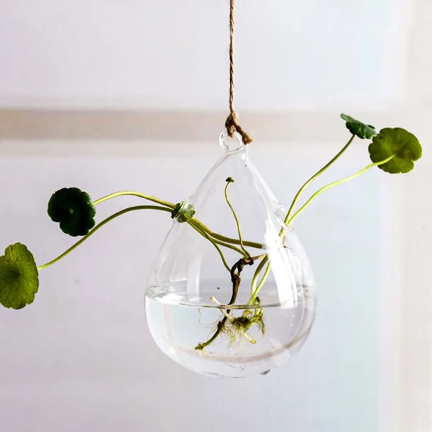 Teardrop Hanging Glass Vase – Transparent Hydroponic Planter for Indoor Greenery, Succulents & Pothos, Decorative Glass Terrarium for Garden, Balcony, Porch & Home Decor