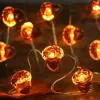 Thanksgiving Decorations Acorn Lights String, Fairy String Lights Battery Operated, Fall Lights for Home Autumn Garland Bedroom Christmas Tree Halloween Party Decor