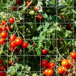 Trellis Netting Heavy-Duty Garden Plant Trellis Netting for Climbing Plants Outdoor Indoor Grow Net for Beans Tomatoes Peas Pumpkin Flowers