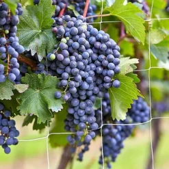 Trellis Netting Heavy-Duty Garden Plant Trellis Netting for Climbing Plants Outdoor Indoor Grow Net for Beans Tomatoes Peas Pumpkin Flowers