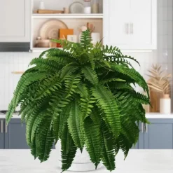UV Resistant Lifelike Artificial Boston Fern, Artificial Ferns for Outdoors, Faux Ferns Fake Ferns Artificial Plants, Fake Boston Fern for Porch Window Home Decor