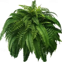 UV Resistant Lifelike Artificial Boston Fern, Artificial Ferns for Outdoors, Faux Ferns Fake Ferns Artificial Plants, Fake Boston Fern for Porch Window Home Decor