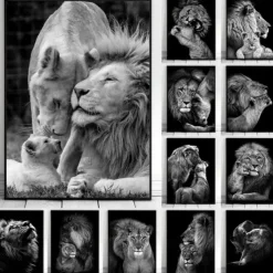 Wall Art Canvas Prints Animals Home Decoration Decor Rolled Canvas No Frame Unframed Unstretched