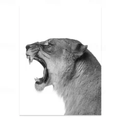 Wall Art Canvas Prints Painting Artwork Picture Animal Lion Home Decoration Decor Rolled Canvas No Frame Unframed Unstretched