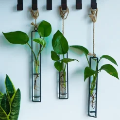 Wall Decoration Creative Iron Glass Vase Hemp Rope Pendant Living Room Hydroponic Pothos Plant Container Hanging