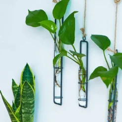 Wall Decoration Creative Iron Glass Vase Hemp Rope Pendant Living Room Hydroponic Pothos Plant Container Hanging