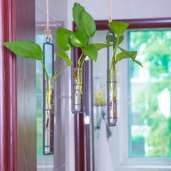 Wall Decoration Creative Iron Glass Vase Hemp Rope Pendant Living Room Hydroponic Pothos Plant Container Hanging