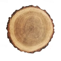 Waterproof Ring of Tree 3D Trunk Wooden Placemats Set Of 4 Farmhouse Forest Theme Dining Table Decoration Pad For Home, Hotel, Party, PP Material Rustic Wood Grain Heat Insulation Mat