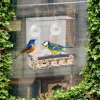 Window Bird Feeder with Strong Suction Cups - Clear Acrylic Bird Feeder for Outdoor Viewing, Large Capacity, Easy to Clean, Gift for Bird Lovers and Cat Owners