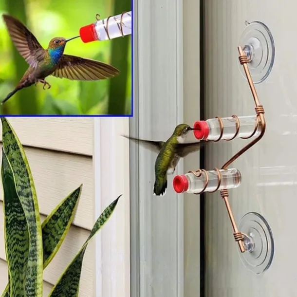 Window Hummingbird Feeder Window Mount Hummingbird Feeder Water Drinker Outdoor Garden Yard Decor