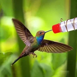Window Hummingbird Feeder Window Mount Hummingbird Feeder Water Drinker Outdoor Garden Yard Decor